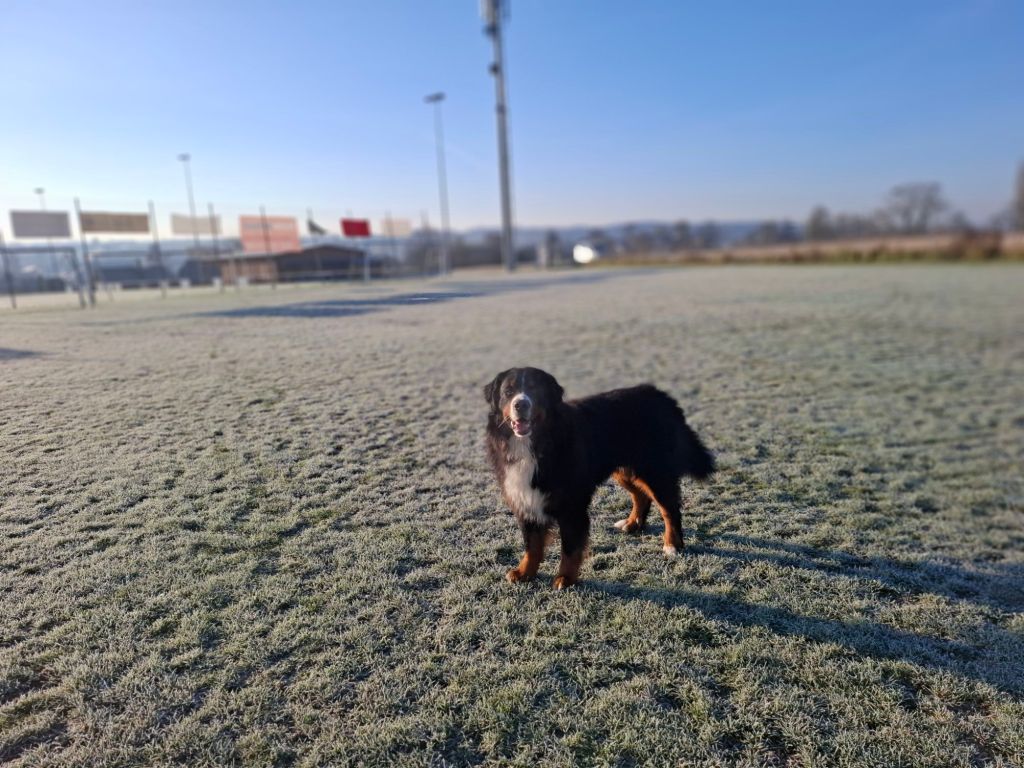 20260101_095604812367798996535624