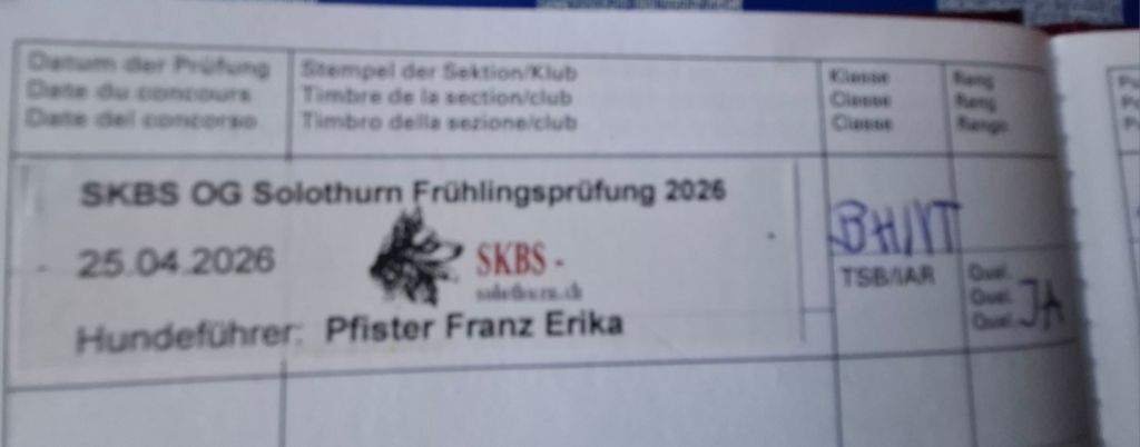20260425_1752152740456882617015076